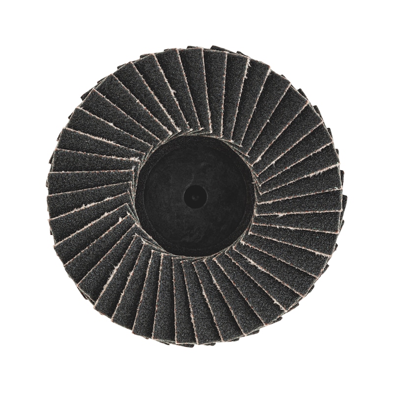 Лепестковый диск Mini