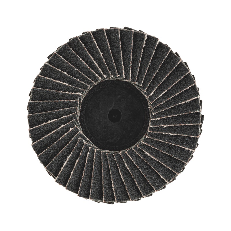 Лепестковый диск Mini