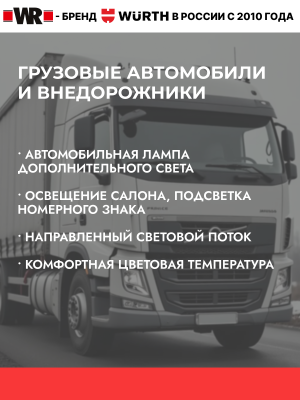 АВТОЛАМПА WR C5W SV8,5 8 24V 5W